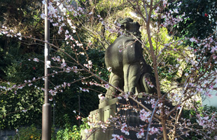 日枝神社狛犬（右） 